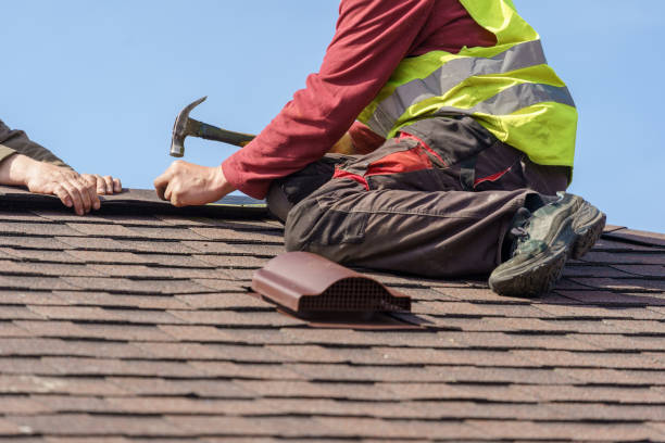 Best Metal Roofing Contractor  in Ayden, NC