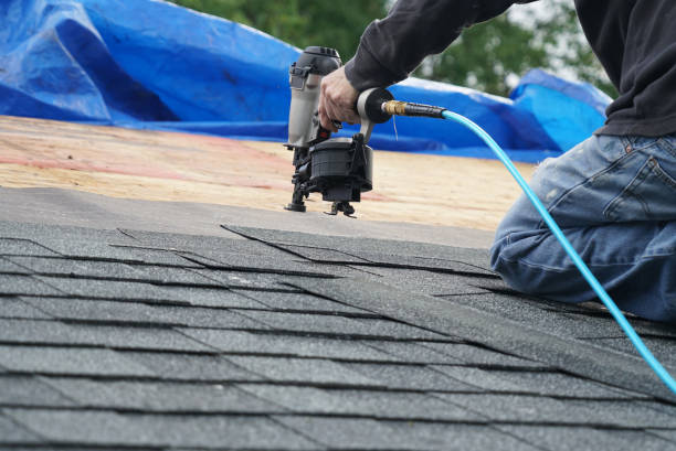 Best Metal Roofing Contractor  in Ayden, NC